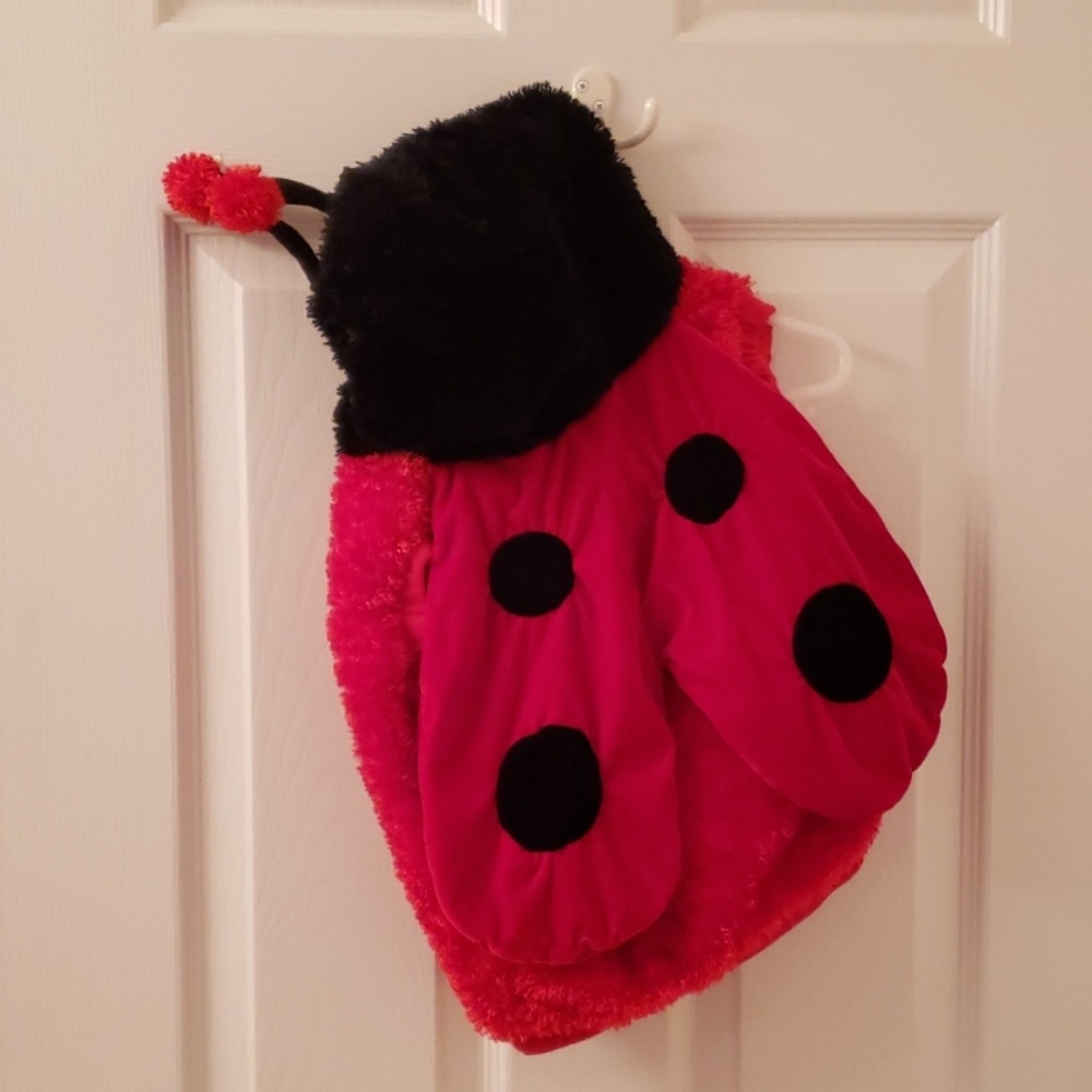 Toddler lady bug costume